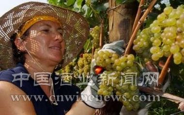点击放大