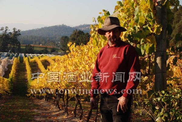 点击放大