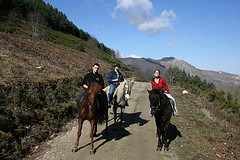 Horse Riding in Rioja