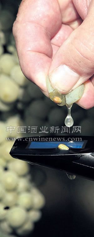 点击放大