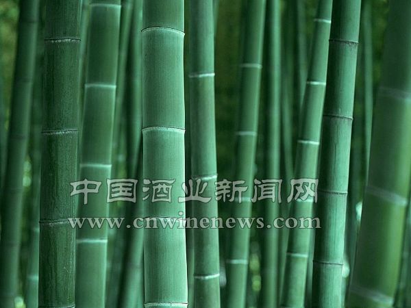 点击放大