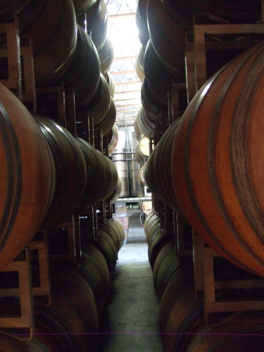 Peeking through DiStefano's barrels