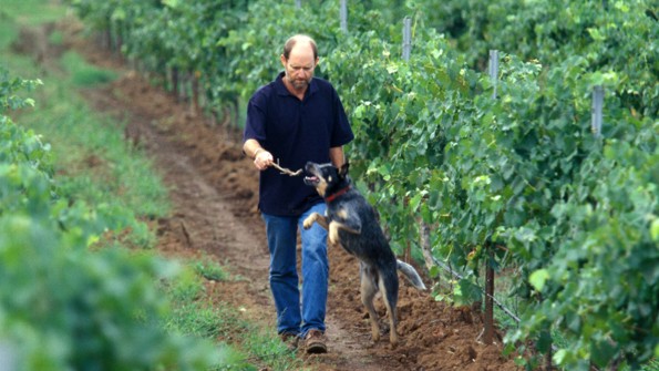 Ian Riggs, Brokenwood