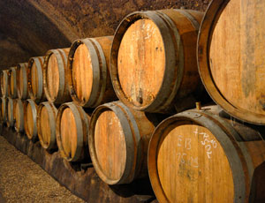 Biodynamic, organic wine cellar.