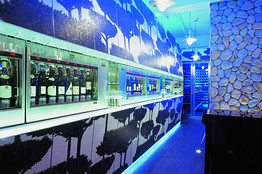 [SB10001424052748704107204574475292632375228]