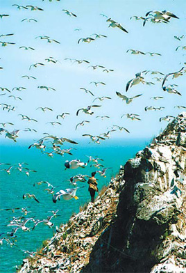 Myth-enshrouded 'coastal gem' attracts 24 million annual visitors