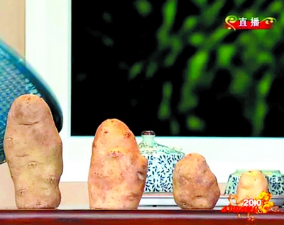 ������ֲ���桱������