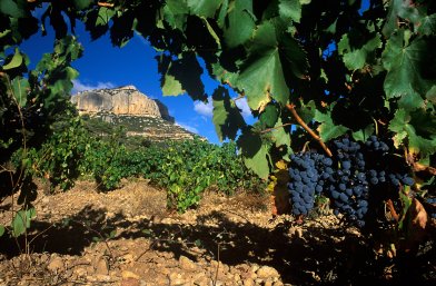 ̩¡������������԰�ѽ��˶��