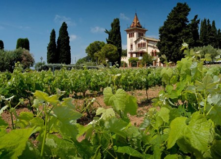 �⿴�ƻ�Į�ĵط�����Ϊȫ�������������ѾƲ���