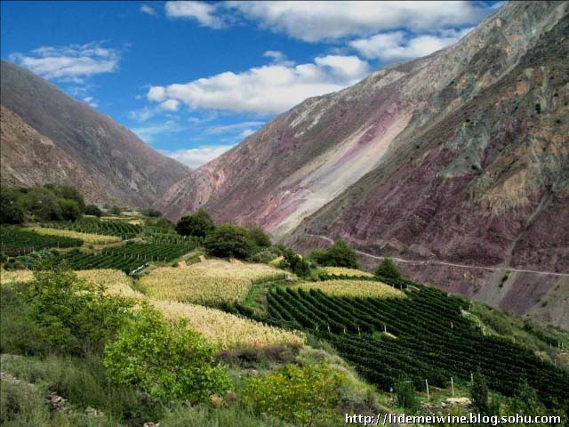 ���յ�����԰