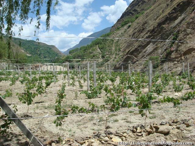 ���ε�����