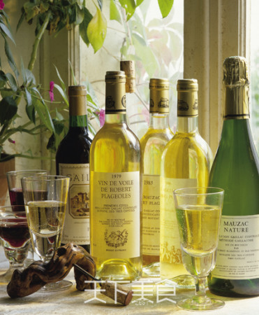 ����Ȱ����Ѿƣ������кͿڸ��ܹ���������