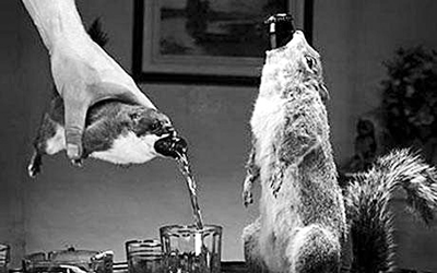 ����ʬ�嵱ơ��ƿ(ͼ)