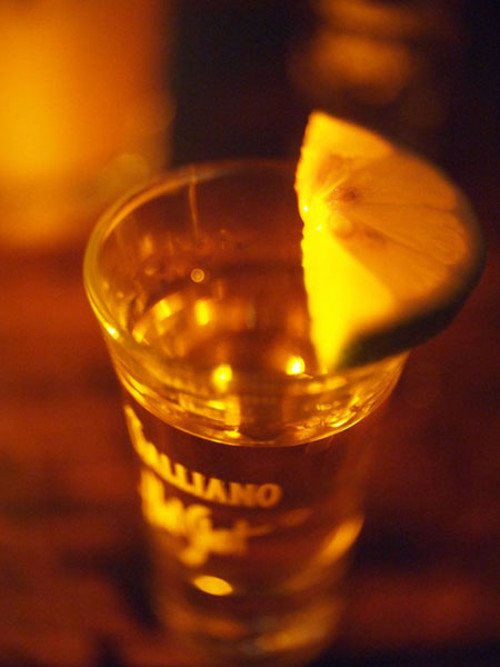 ������� һ�����������籭��������