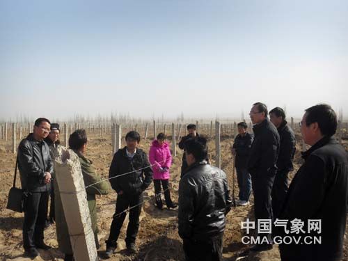 ���ģ������������������ɫ��ҵ��չ