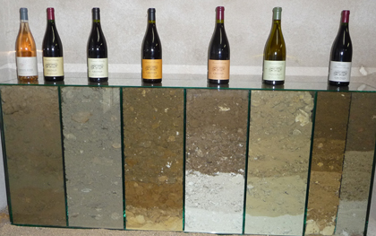 domaine baudry soil How does cabernet franc age? A visit to Domaine Baudry