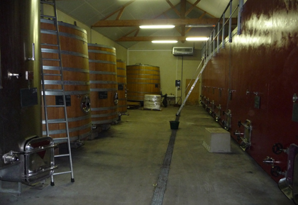 domaine baudry tank room How does cabernet franc age? A visit to Domaine Baudry