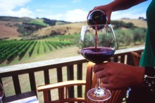 The Veranda Cafe at Stonyridge Vineyard, Waiheke Island. Photo / Supplied