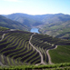 douro.jpg