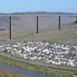 mosel.jpg