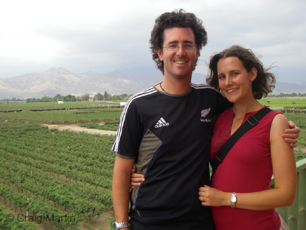 wine ica tacama vineyards