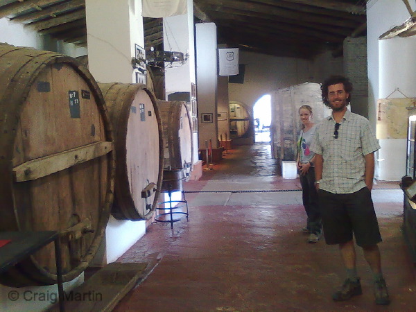 wine argentinan winery