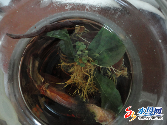 �˲ξ��п��� 