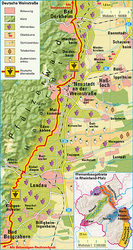 ���Ѿ�·����ͼ