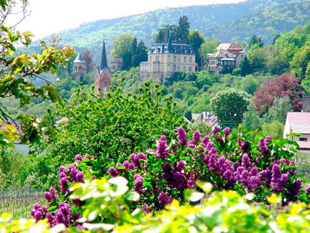 �羰�续��Neustadt