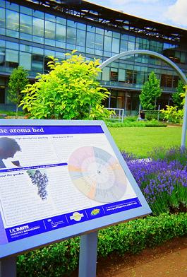 ucd aroma bed and tasting wheel Review of the UC Davis Wine Law Conference, June 2 4 