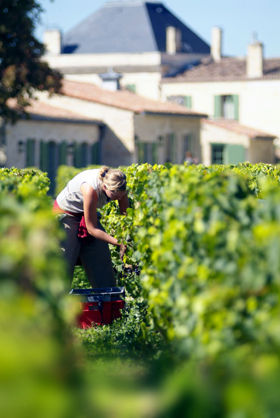 �����ڷ��������ƴ���Ҳ�����������Ѿơ�