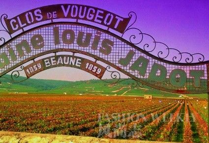 ·���Ƕ� Louis Jadot