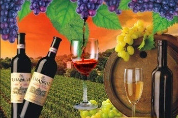 法国葡萄酒 法国葡萄酒