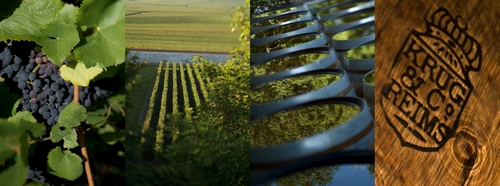 ������ľ�������԰