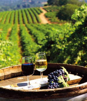 �󸯾��С�����֮��������֮�ơ��ĳƺ�