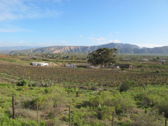 Calitzdorp