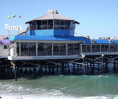 ������ư� �׶�����ͷ