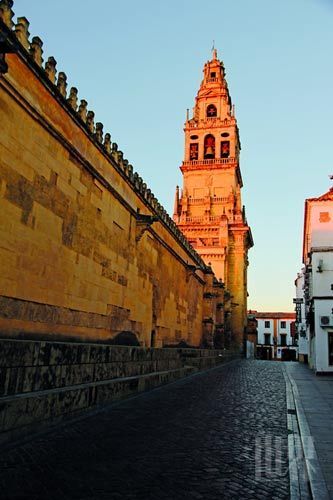 �Լݰ���¬���� Ʒζ��һ��������������