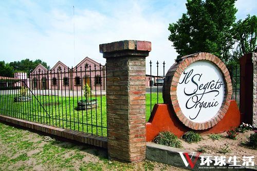 IL Segreto Orgainc��ׯ