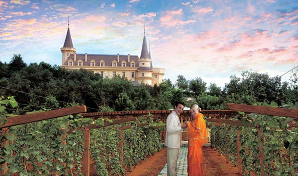 ���ѾƲ�������Ҫ�μǵĻƽ����