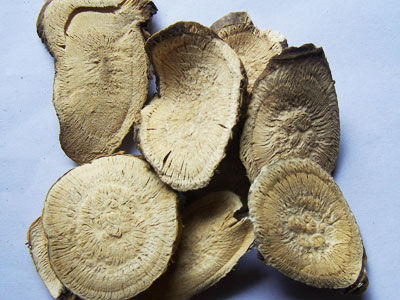 ���������ʪ