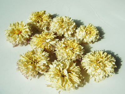 �ջ����Ƚⶾ