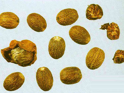 �ⶹޢ�̳�ֹк