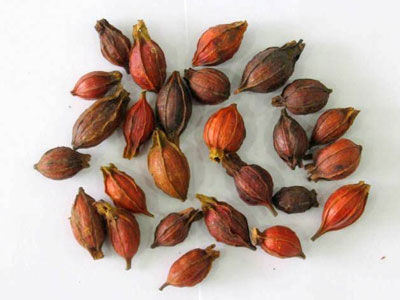 �������ξ���