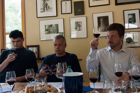 Ҧ���������Ŷ�һ��Ʒ��