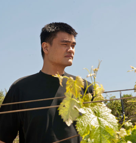 Ҧ��������԰