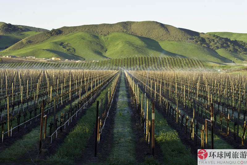 1.ʥ�Ͱ�������˹����Ī˹����԰(Los Alamos Vineyards )