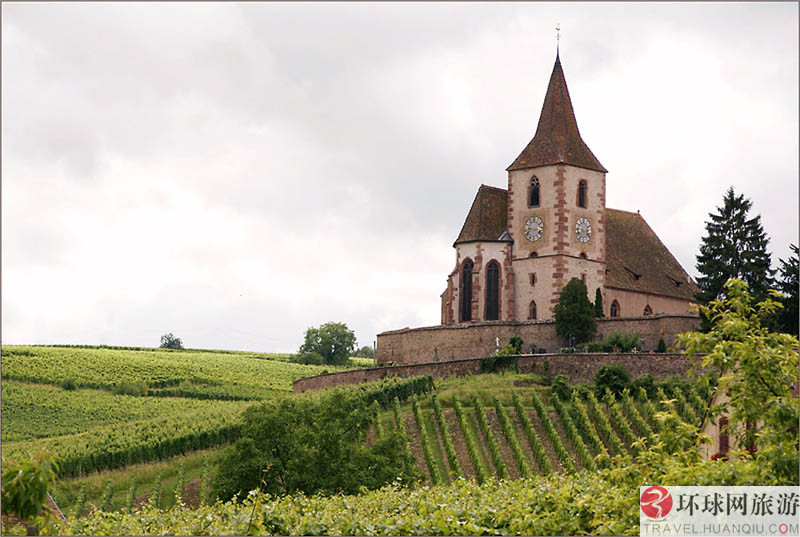 1.ʥ�Ͱ�������˹����Ī˹����԰(Los Alamos Vineyards )