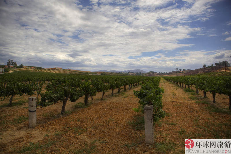1.ʥ�Ͱ�������˹����Ī˹����԰(Los Alamos Vineyards )