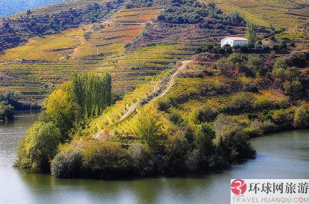 1.ʥ�Ͱ�������˹����Ī˹����԰(Los Alamos Vineyards )